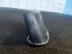    Bootlid Tailgate Handle 81755-2E000 #RR-000023512