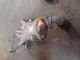 VAUXHALL INSIGNIA SRI MK1 (A) (3700) 2013 Catalytic Converter 55575365 #RR-000023821