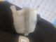VAUXHALL INSIGNIA SRI MK1 (A) (3700) 2013 Engine Coolant Bottle 22953219/22924025 #RR-000023833