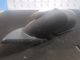 VAUXHALL INSIGNIA MK1 2013 Wing /Side ViewMirror NSFGM13329086/GM13269563(WHITE) #RR-000023907