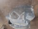 VAUXHALL INSIGNIA SRI MK1 (A) (3700) 2013 Splash Guard OSF 341391933 #RR-000023918