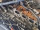 FORD GALAXY TITANIUM TDCI MK2 FL (CD340) 2013 Complete Engine UFWA #RR-000024259