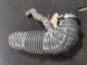 KIA SPORTAGE CRDI 3 MK4 (SL) 2012 Air Filter Box Assembly Hose 28138-2Y300 #RR-000024278