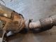 KIA SPORTAGE CRDI 3 MK4 (SL) 2012 Catalytic Converter #RR-000024307