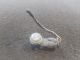 FORD GALAXY GHIA TDCI MK2 (CD340) 2009 Parking Sensor 8A6T15K859 #RR-000024563