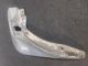 SKODA OCTAVIA SE TDI MK3 (TYP 5E) 2016 Mud Flap 5E0075101 #RR-000024725