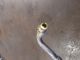 FORD FOCUS STYLE TDCI MK2 FL (C307) 2008 Radiator Hose Pipe #RR-000025135