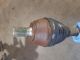 FORD FOCUS STYLE TDCI MK2 FL (C307) 2008 Drive Shaft / Driveshaft OSF #RR-000025176