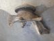    Wheel Hub #RR-000025283