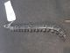 SKODA FABIA GREENLINE TDI CR MK2 FL (TY 5J) 2012 Bumper Bracket RIGHT 5J9807394 #RR-000026176