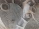 FORD KUGA TITANIUM X TDCI MK2 (C520) 2015 Gearbox FV4R7000AC #RR-000026433