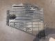 FORD KUGA TITANIUM X TDCI MK2 (C520) 2015 Engine Under Tray Cover CM61-11779-AC #RR-000026461