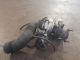 SAAB 9-3 VECTOR T MK2 (440) 2006 Fuel Injector Injection Common Rail 54960B/12802029 #RR-000026713