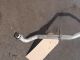 TOYOTA AVENSIS 2016 Air Condition A/C Air Con Compressor Pump #RR-000027086