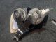 PEUGEOT 3008 SPORT HDI MK1 (PH1) (T84) 2011-03-10 Horn 9657476680 #RR-000027295