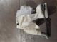   Windscreen Washer Pump #RR-000027654