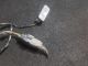 FORD ECOSPORT ZETEC TDCI MK1 (CBW) 2015 Parking Sensor #RR-000028303