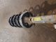 VOLKSWAGEN BEETLE 8V MK2 (A4) 2004 Shock Absorber NSF 1J0413031EF #RR-000028697