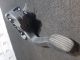 SMART FORTWO CABRIO PASSION MHD MK2 (A451) 2011 Accelerator Pedal A4513000104 #RR-000028736
