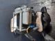RENAULT CLIO EXPRESSION 16V MK3 (PH1) (X85) 2006 Seat Belt OSF #RR-000028979