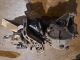 LAND ROVER DISCOVERY SPORT TD4 SE TECH MK1 (L550) 2016 Rear Differential Diff GK72-4N053-AA #RR-000029098