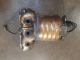    Catalytic Converter #RR-000029371