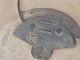    Engine Under Tray Cover 10487300 #RR-000029479