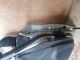    Complete Door NSF #RR-000029633