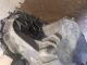 SAAB 9-3 LINEAR SE TID MK2 FL (440) 2009 Gearbox 55350375 #RR-000029917