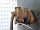 SKODA OCTAVIA SE TECHNOLOGY TDI MK3 (Typ 5E) 2018 Brake Caliper NSF #RR-000031598