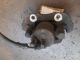 FORD Focus ZETEC MK3 (C346) 2012 Brake Caliper OSF #RR-000032625