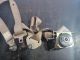 NISSAN SERENA MK3 : C25 :CBA 2005 Seat Belt OSR #RR-000032887