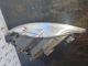 FORD Mondeo TITANIUM TDCI MK4 FL (CD345) MK4 FL (CD345) 2013 Headlight / Headlamp OSF #RR-000033003