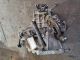 HYUNDAI I10 ACTIVE MK1 (PA) 2012 Gearbox 43000 02740 #RR-000033778