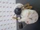 BMW 3 SERIES 3161 ES MK6 (F30) MK6 (F30) 2013 Fuel Pump 7243974 #RR-000034189