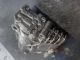    Gearbox Transmission ECU A2212700197 #RR-000034523