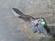    Indicator Control Stalk Switch / Indicator Switch LEFT 6G9T-13335-BF #RR-000034622