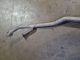 SUZUKI SWIFT 2008 Exhaust Silencer Spring Holder 63j-m41 #RR-000034895