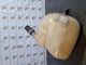 VAUXHALL Astra CLUB MK4 (G) (T98) 2004 Engine Coolant Bottle 90530689 #RR-000036951