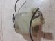 HONDA Jazz DSI S MK2 (GD) 2006 Windscreen Washer Bottle 2224636A #RR-000038157