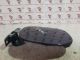 MITSUBISHI Outlander 2012 Fuel Filler Cap Cover EN590 #RR-000038806