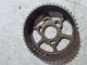 LANDROVER Discovery 2013 Camshaft Gear 4U3Q6K286BA #RR-000038949
