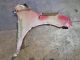 NISSAN Qashqai TEKNA DIG-T XTRONIC MK2 (J11) 2017 Wing NSF #RR-000039257