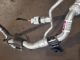 KIA Stonic 2 MK1 (YB) 2025 AIR CONDITIONER PIPE HOSE T416231500 #RR-000039337