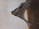 NISSAN Note SE MK1 (E11) 2006 Wing NSF #RR-000039681