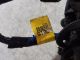 KIA Stonic 2 MK1 (YB) 2025 Door Wire Loom 91608H8150 #RR-000039726